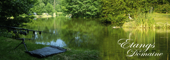 etangs de peche a la carpe les étangs du domaine